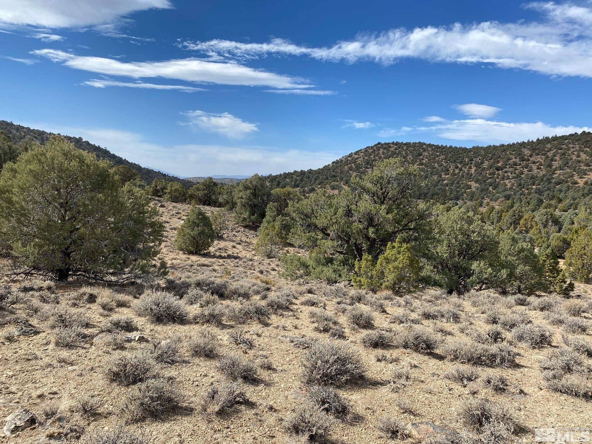 Tbd Pine Nut Minden, NV 89423 - Photo 4 of 8 a view of a sky