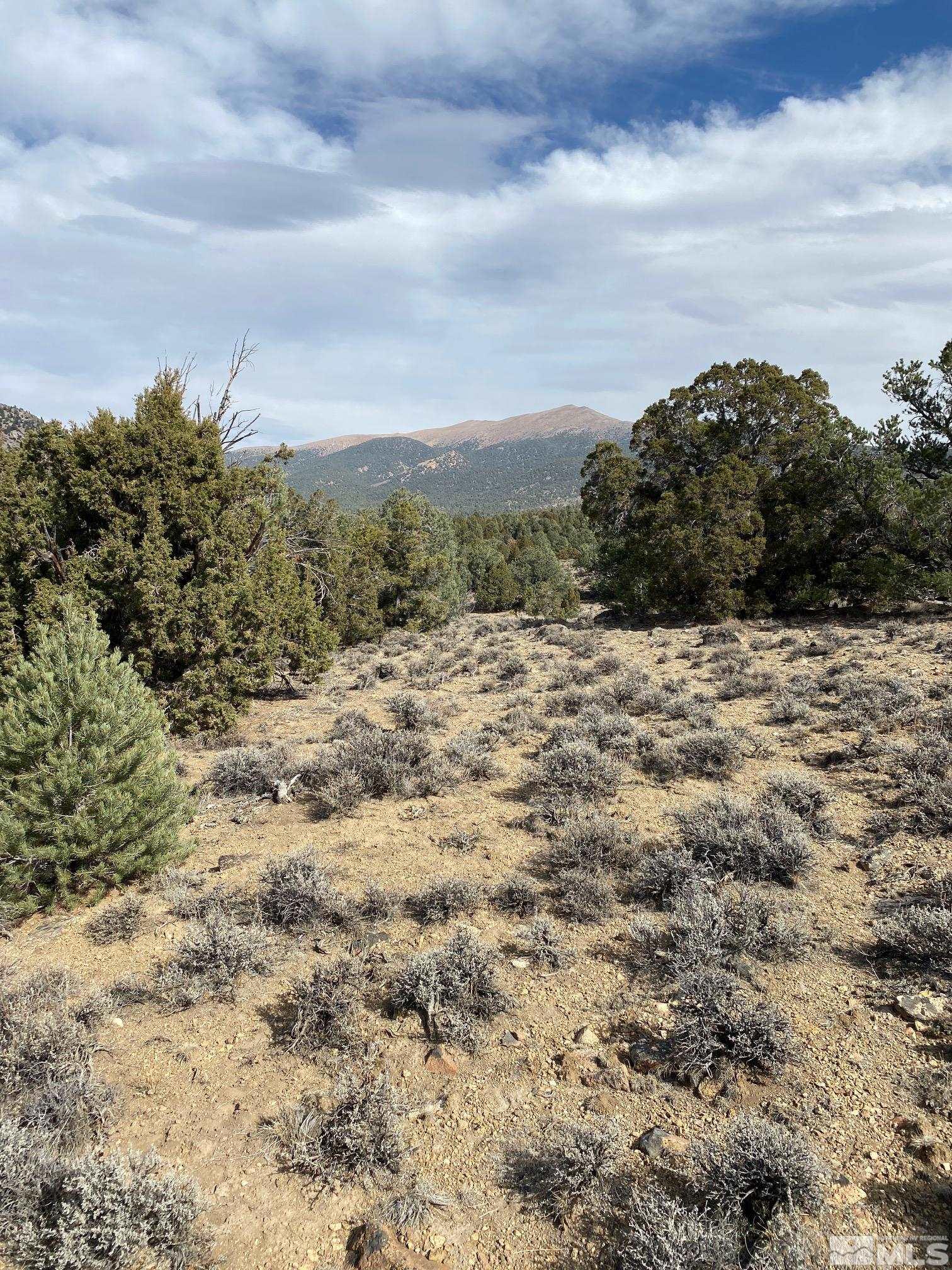 Tbd Pine Nut Minden, NV 89423 - Photo 5 of 8 a view of a dry yard with wooden fence