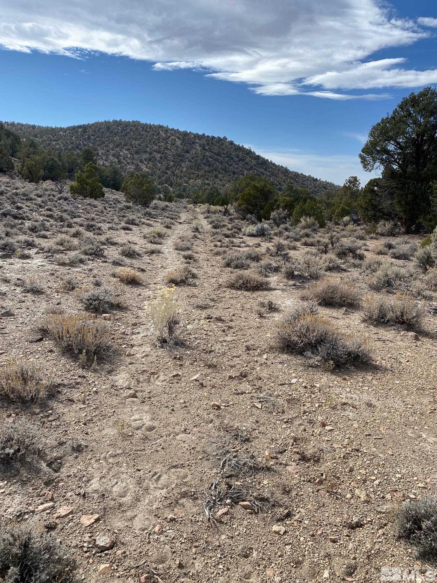 Tbd Pine Nut Minden, NV 89423 - Photo 7 of 8 a view of mountains and sunset