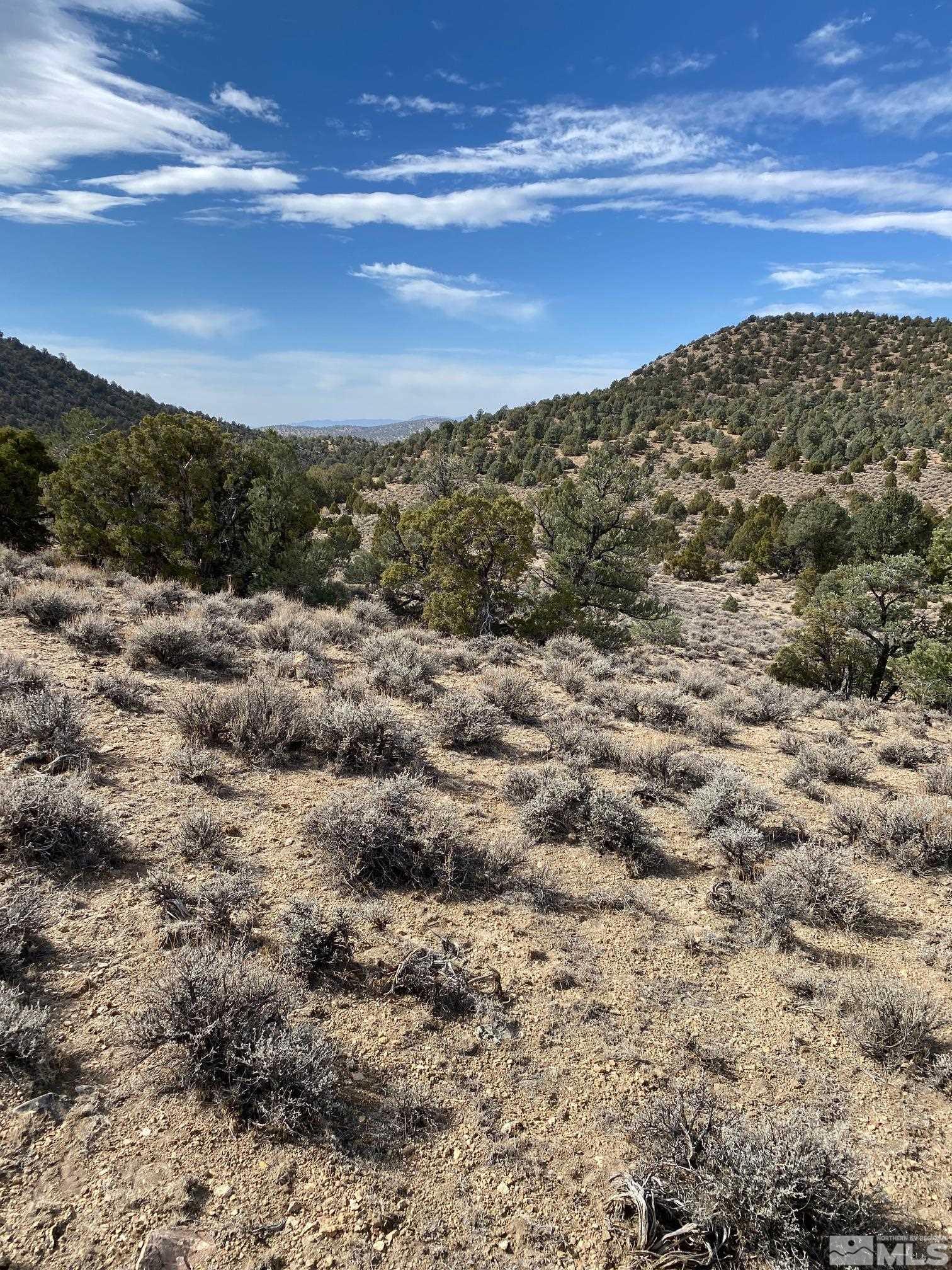 Tbd Pine Nut Minden, NV 89423 - Photo 8 of 8 a view of a sky from a yard