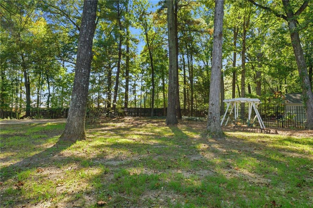 1625 Lake Road Hiram, GA 30141 - Photo 51 of 58 a view of a yard with a tree