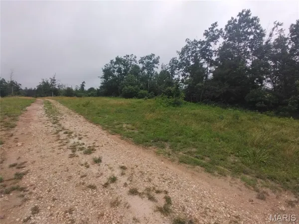 $49,950 | 9 Tract 9 Off Highway, Belleview, MO 63623