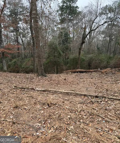 $25,000 | 5540 Janeru Circle, Macon, GA 31216