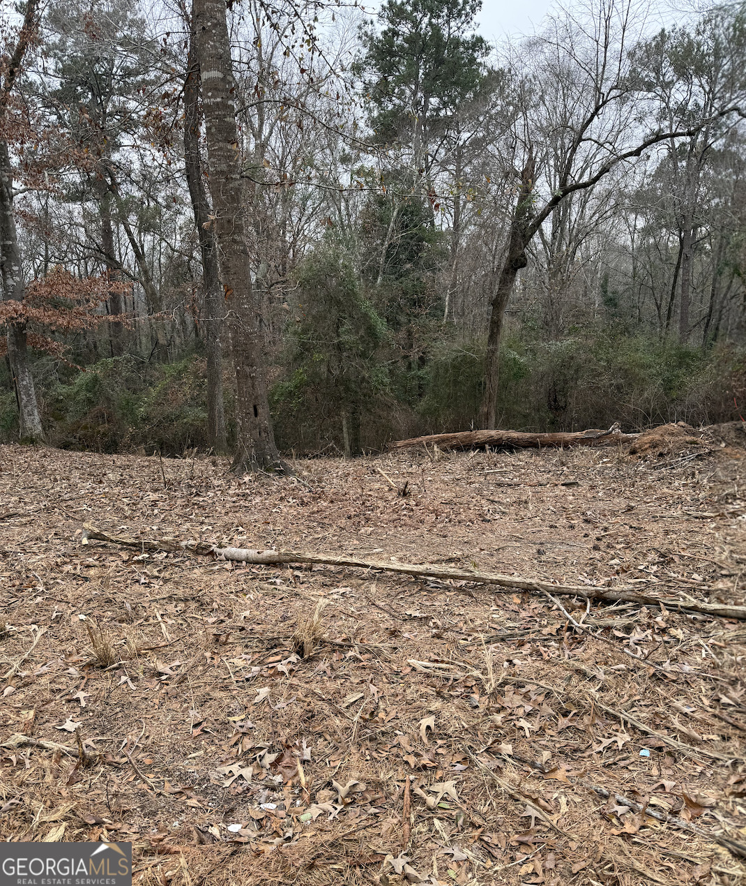 5540 Janeru Circle Macon, GA 31216 - Photo 2 of 4