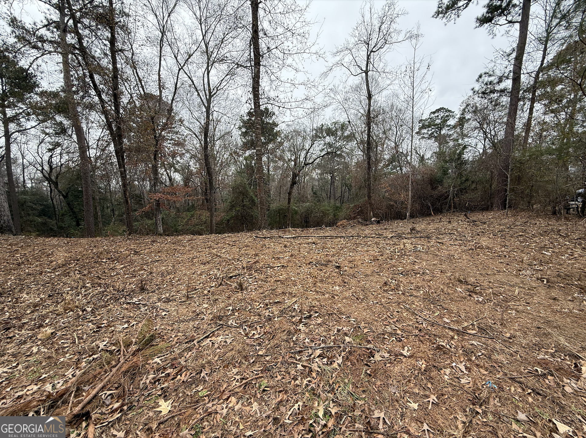5540 Janeru Circle Macon, GA 31216 - Photo 4 of 4