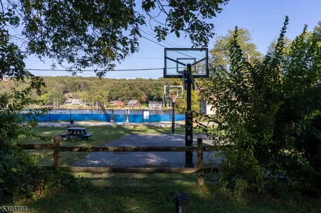 a view of a yard with plants