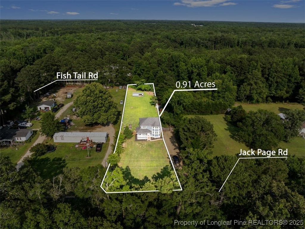 2040 Page Road Stedman, NC 28391 - Photo 30 of 33 an aerial view of a swimming pool