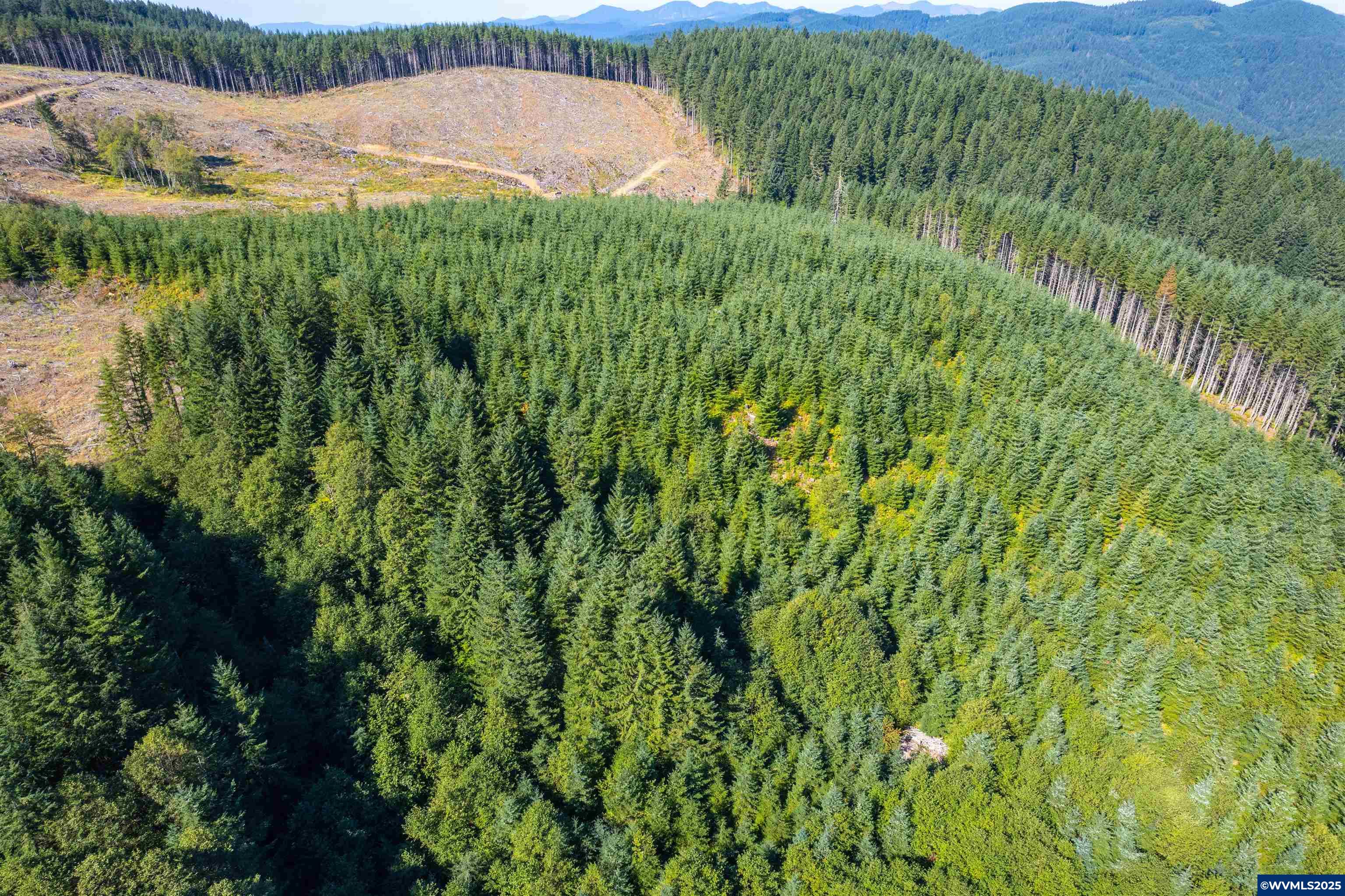 0 Bald Mountain Access Road Willamina, OR 97396 - Photo 12 of 30