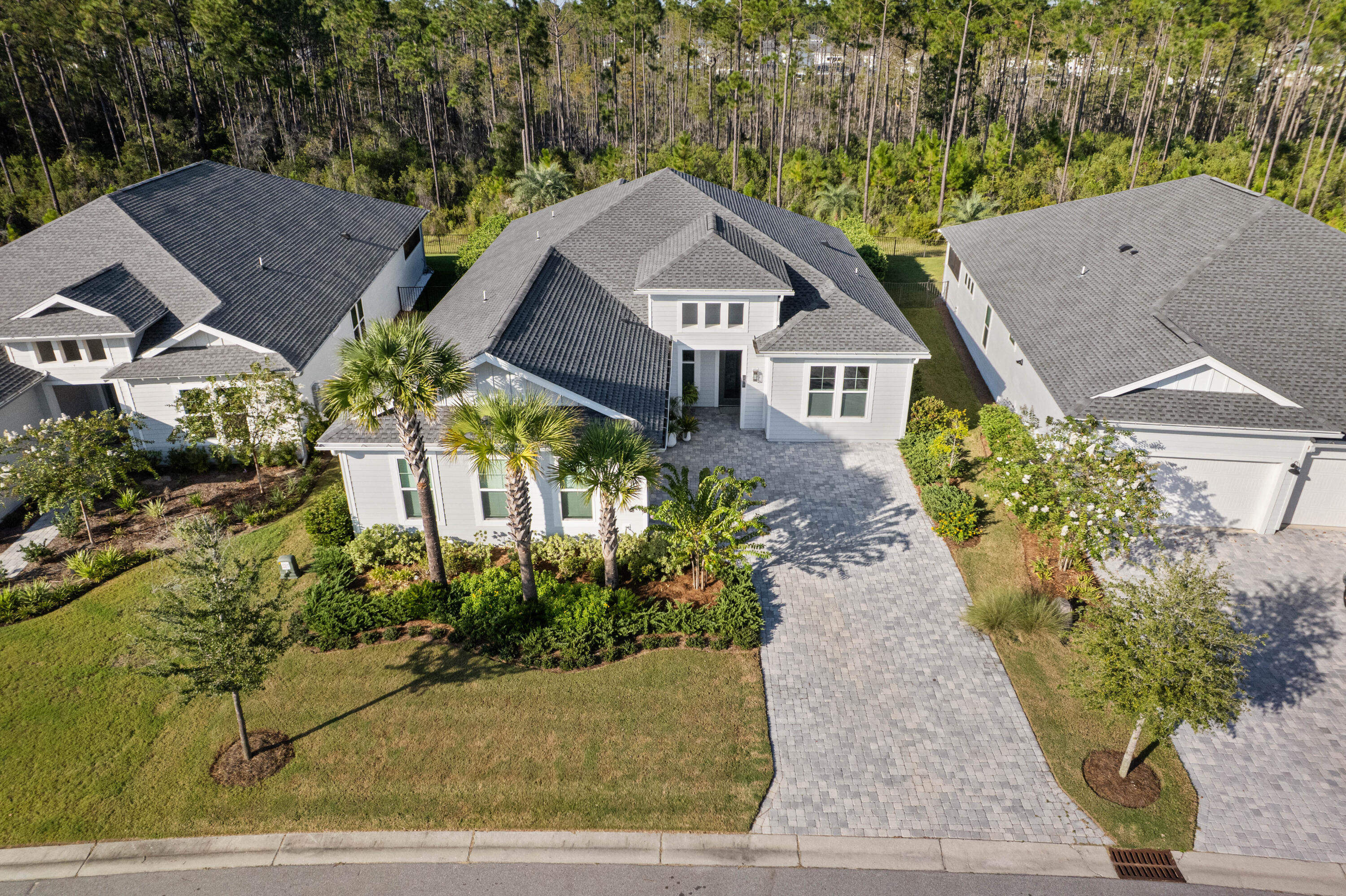 320 West Lafayette Rd Inlet Beach Inlet Beach, FL 32461 - Photo 66 of 90 an aerial view of a house