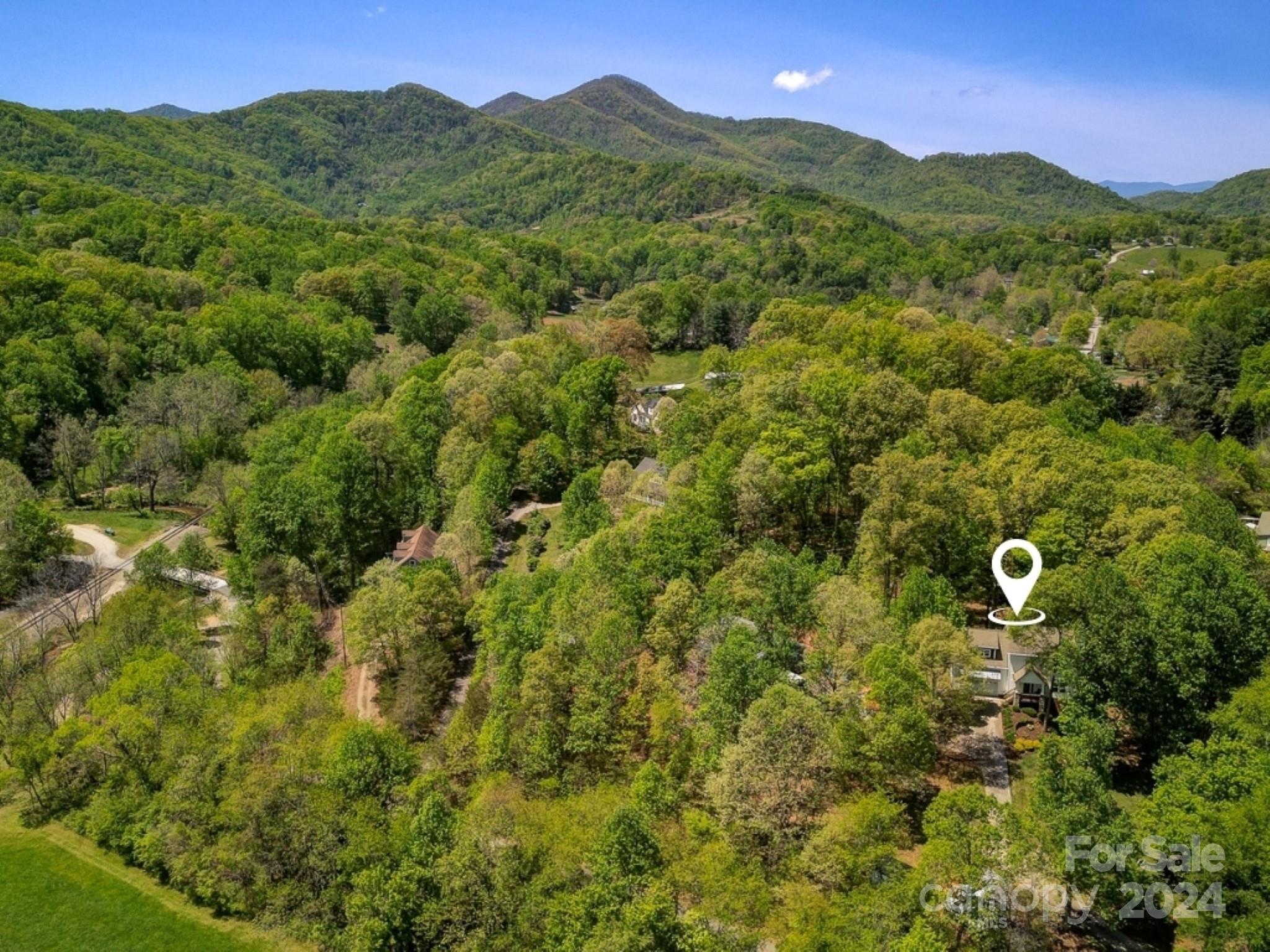 12 Homewood Road Candler, NC 28715 - Photo 46 of 46 Gallery Image 46
