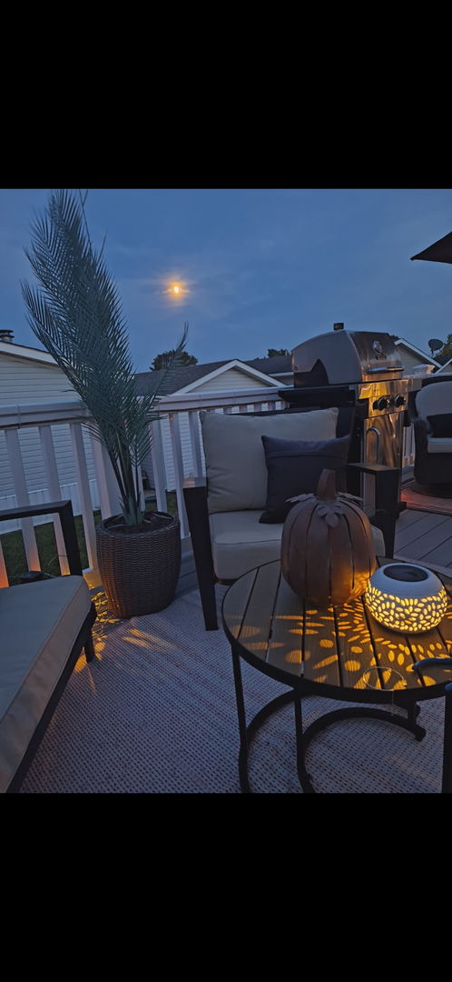 333 Lilac Lane Matteson, IL 60443 - Photo 24 of 25