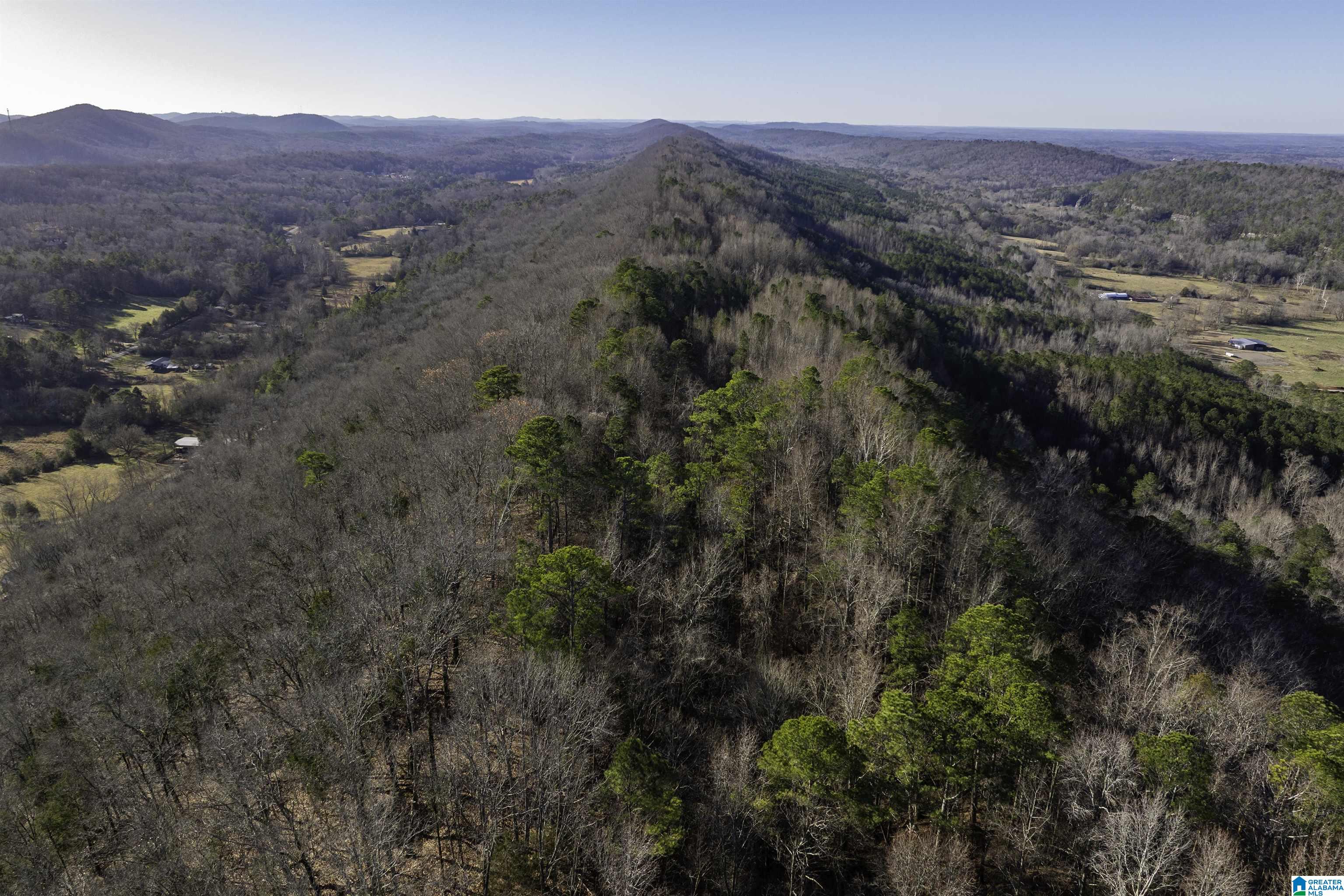 1775 Red Valley Road Remlap, AL 35133 - Photo 45 of 56