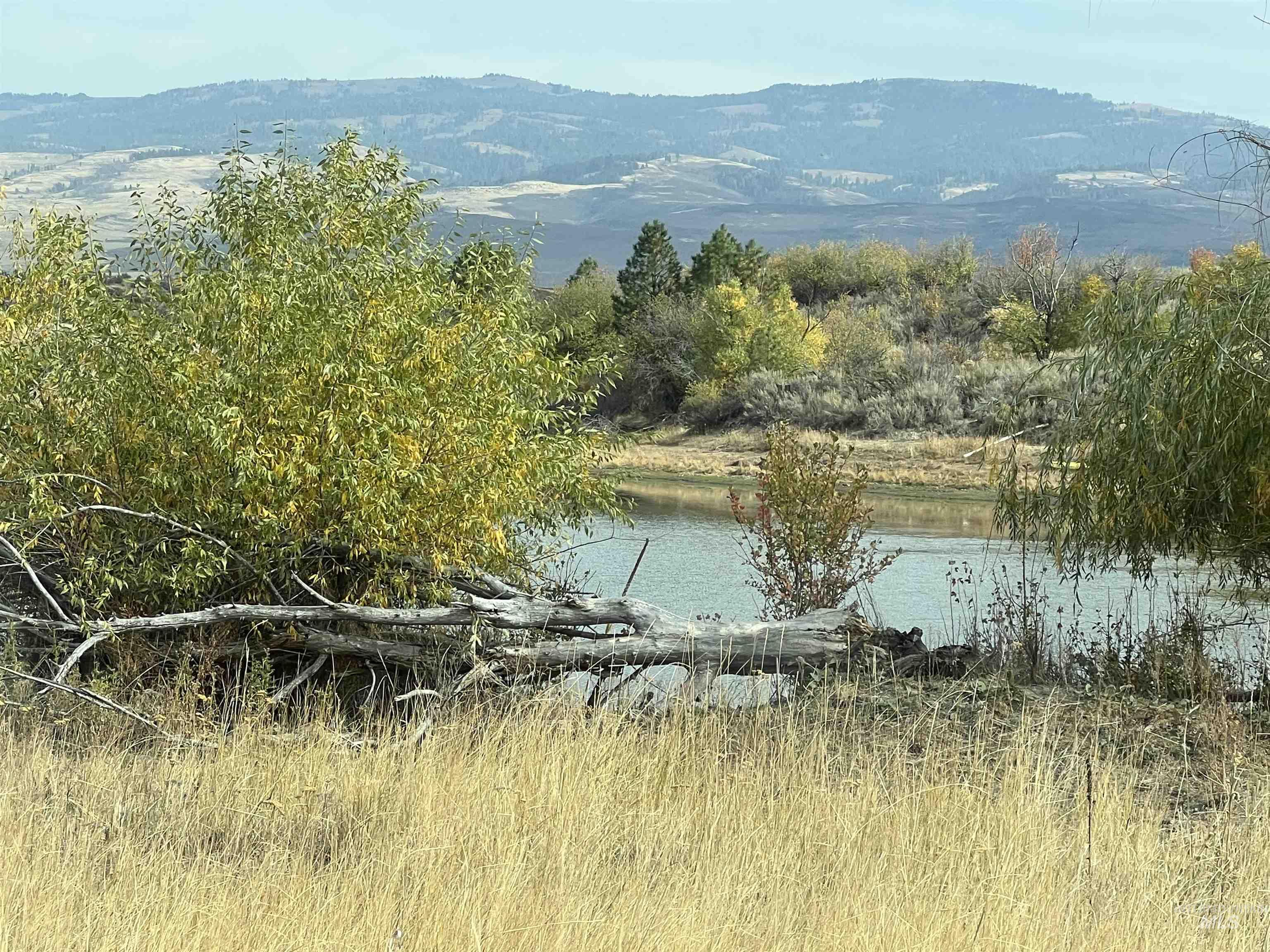 2216 Swisher Road Indian Valley, ID 83632 - Photo 37 of 47