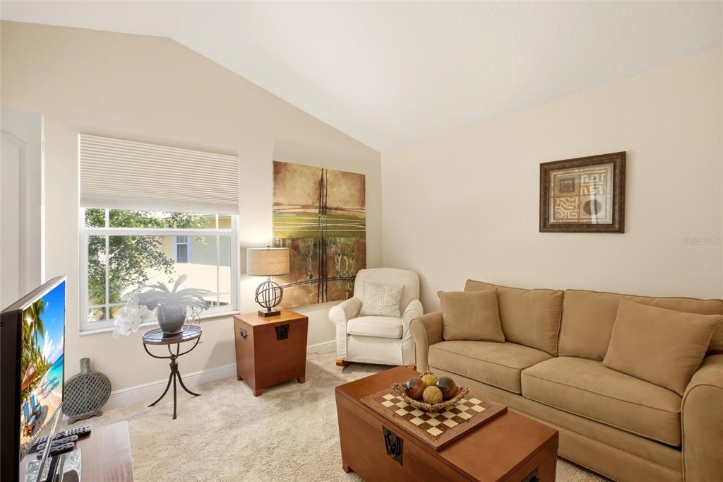 477 Harbor Ridge Drive Palm Harbor, FL 34683 - Photo 27 of 43