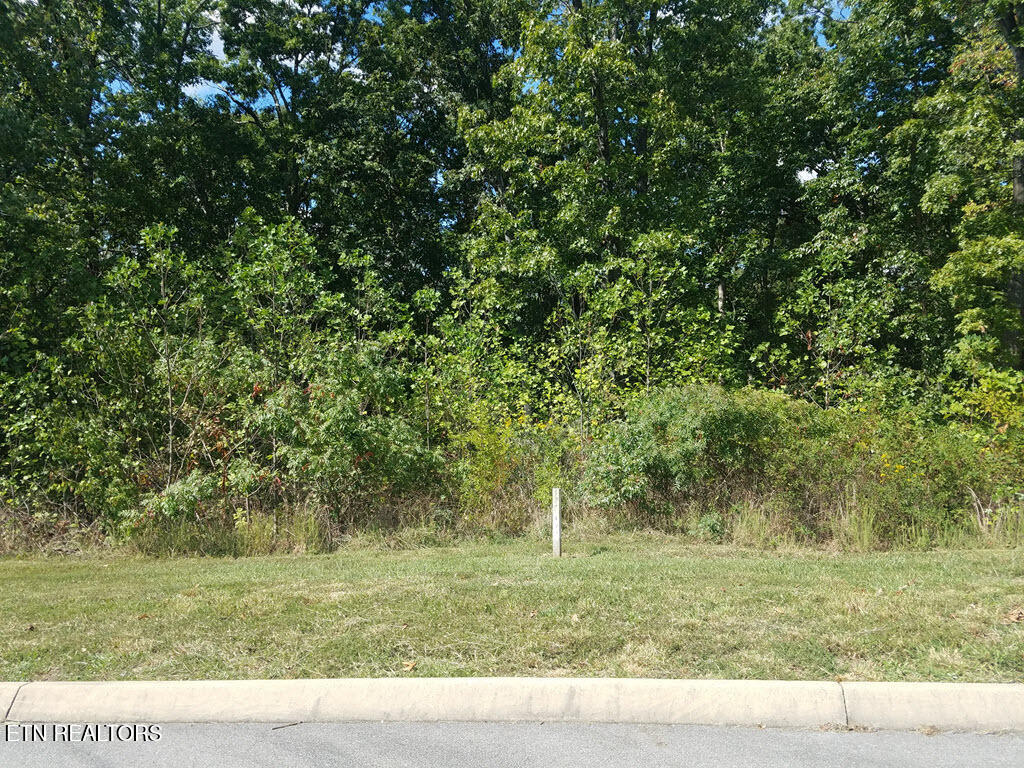 Lot 136 Tumbleweed Trail Rutledge, TN 37861 - Photo 19 of 26 Lot 136 Tumbleweed Trl - 20