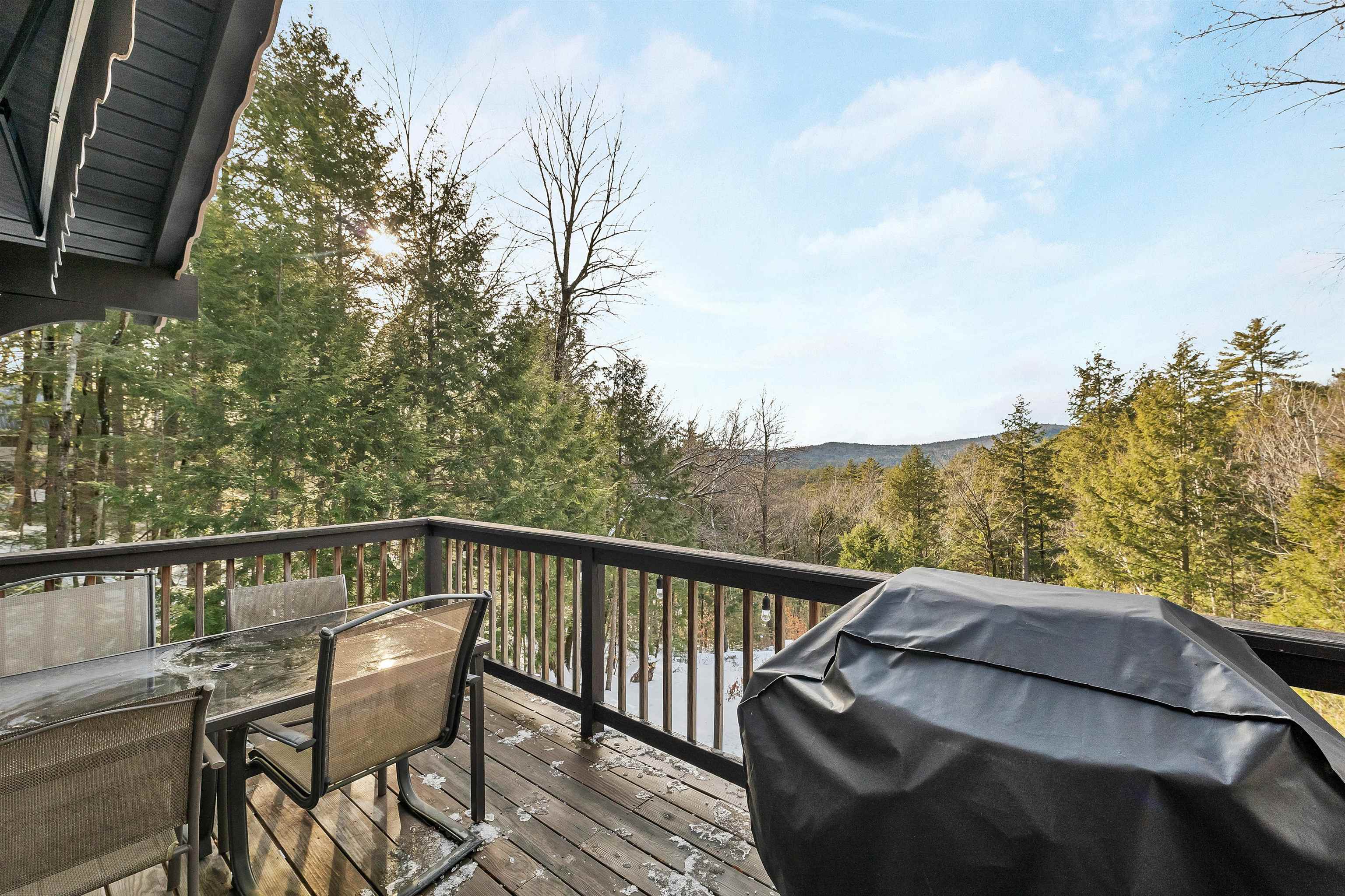 22 Jungfrau Road Madison, NH 03849 - Photo 5 of 42 Gallery Image 5