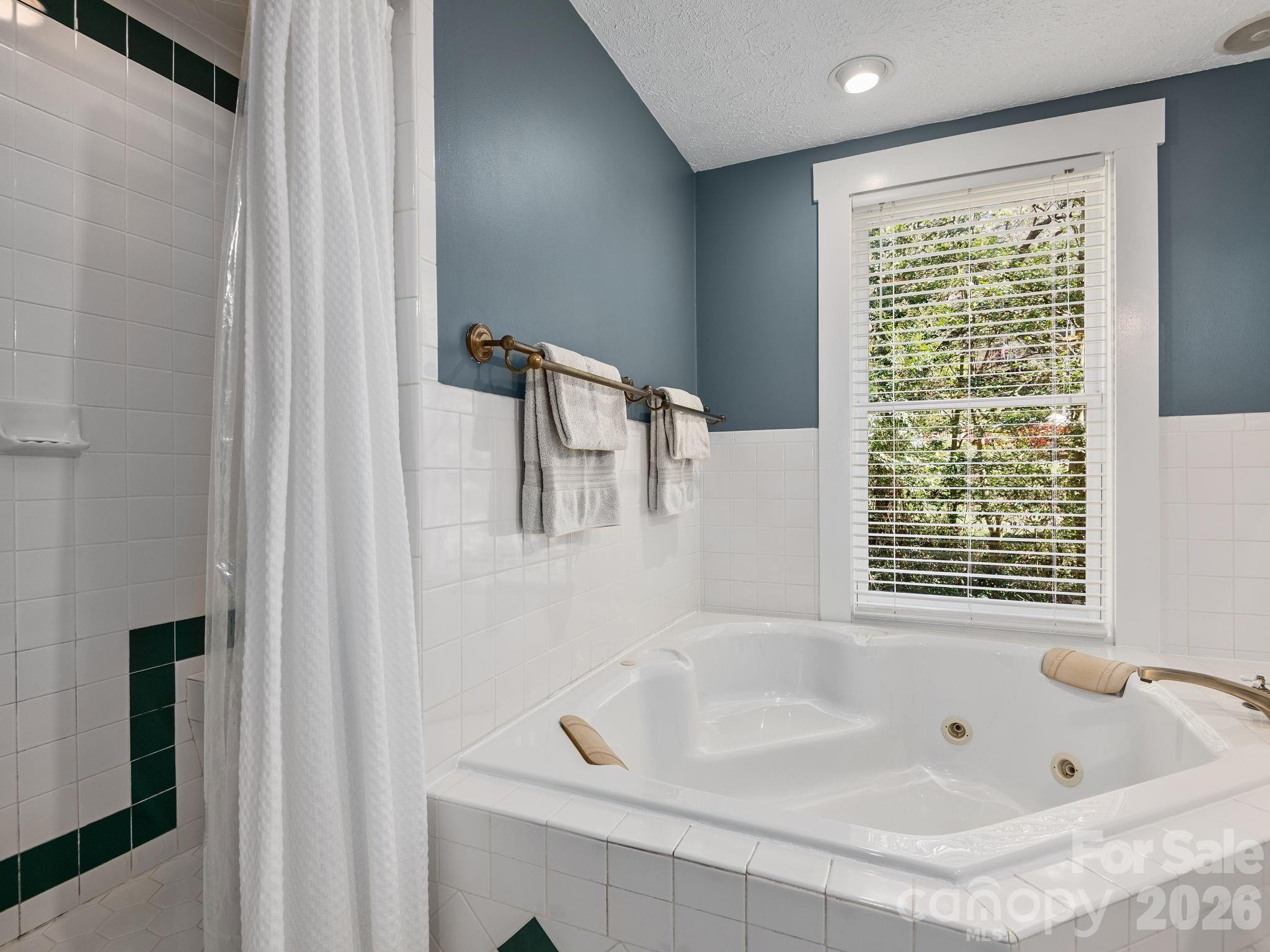 67 Cherokee Road Asheville, NC 28801 - Photo 17 of 39