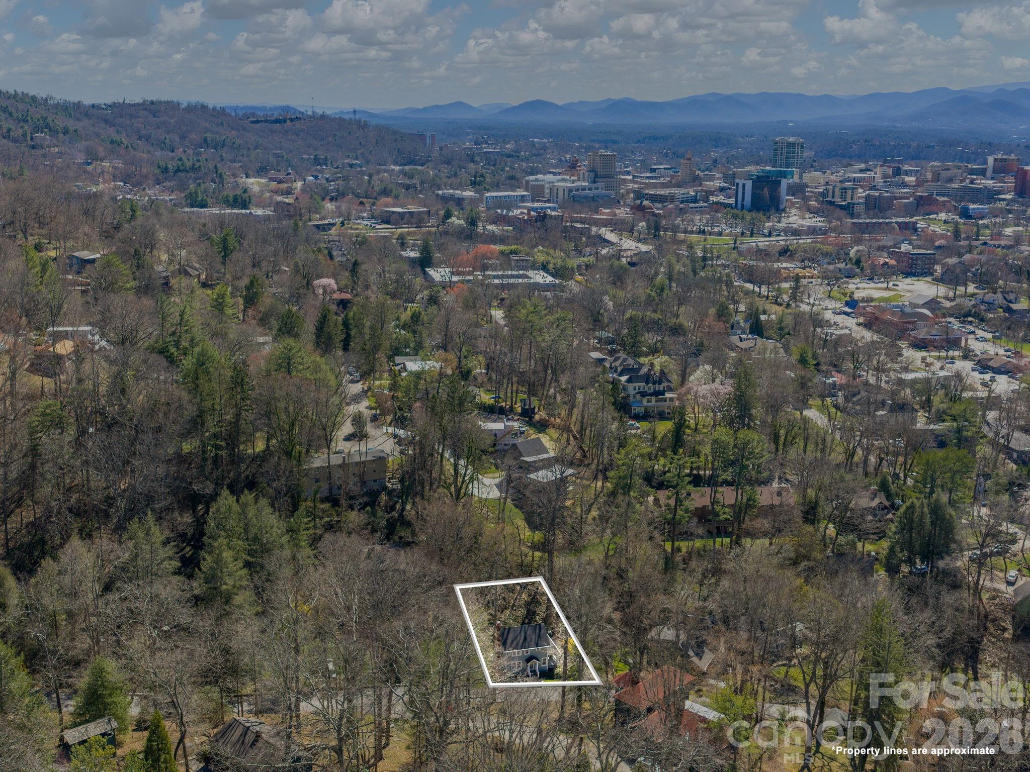 67 Cherokee Road Asheville, NC 28801 - Photo 4 of 39