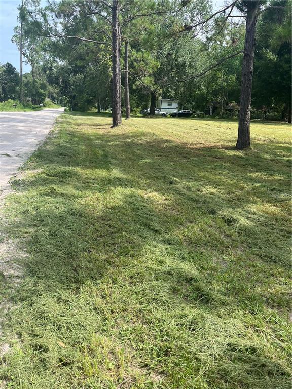 11226 Clarence Bennett Road Sanderson, FL 32087 - Photo 2 of 11 a view of outdoor space with a garden