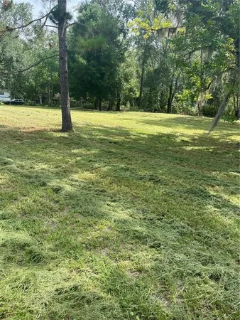 a view of a field with an trees