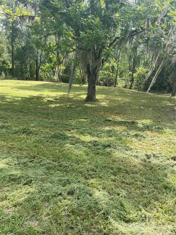 11226 Clarence Bennett Road Sanderson, FL 32087 - Photo 4 of 11 a view of outdoor space with trees all around