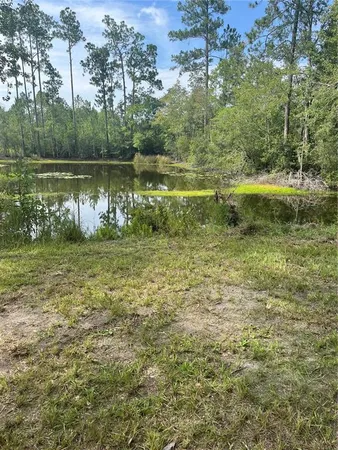 a view of a lake with houses with yard