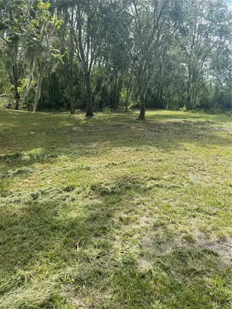 a view of outdoor space with trees all around