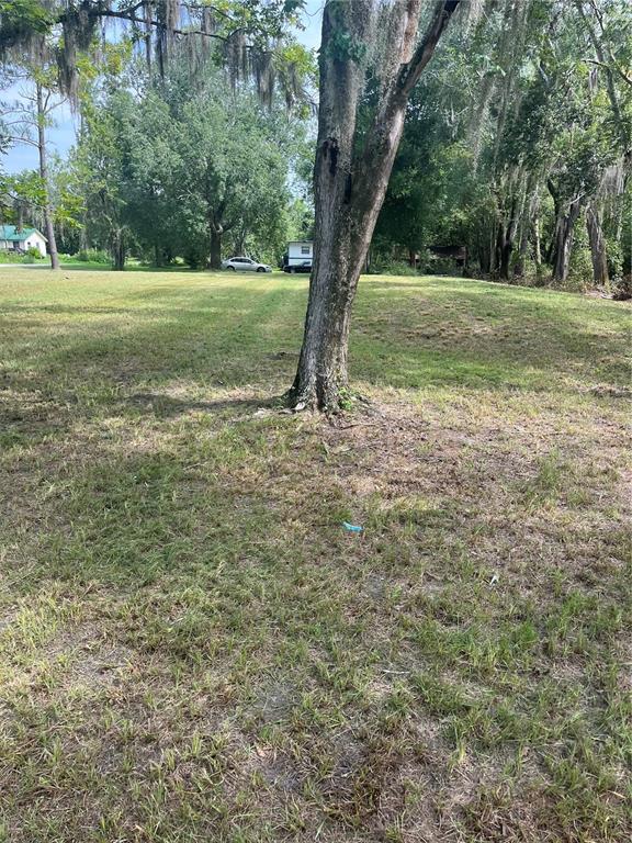 11226 Clarence Bennett Road Sanderson, FL 32087 - Photo 8 of 11 a view of outdoor space and yard
