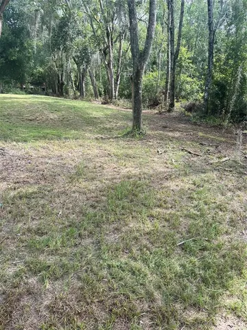 a view of a yard with a tree