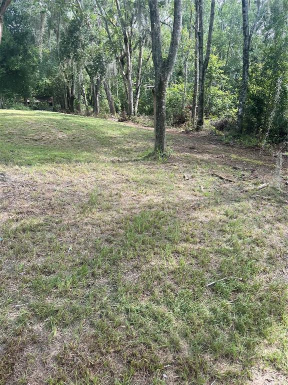 11226 Clarence Bennett Road Sanderson, FL 32087 - Photo 9 of 11 a view of a yard with a tree