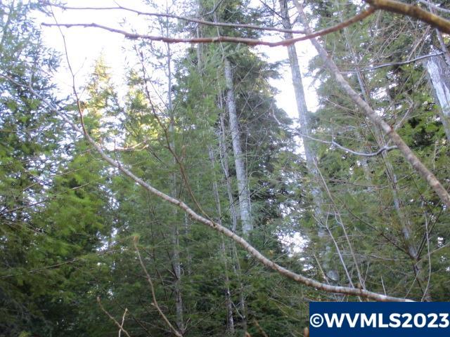0 Southeast Harvey Road Sandy, OR 97055 - Photo 9 of 11