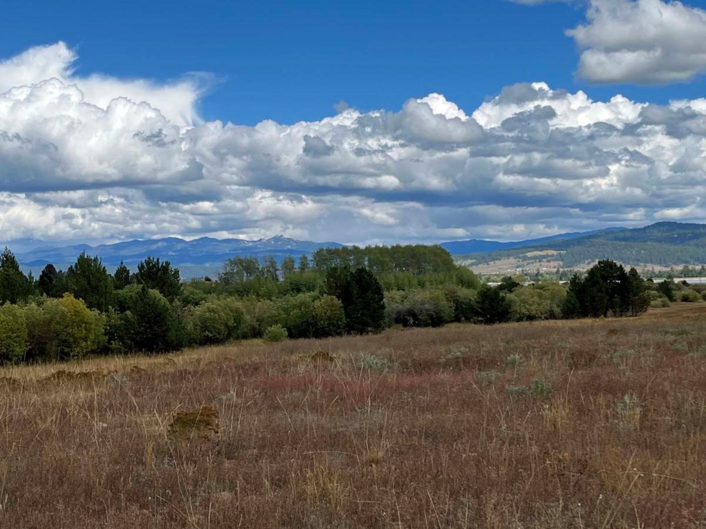 42 Reno Vista Lane, Unit 70 Donnelly, ID 83615 - Photo 12 of 16 View of the Needles Mountains