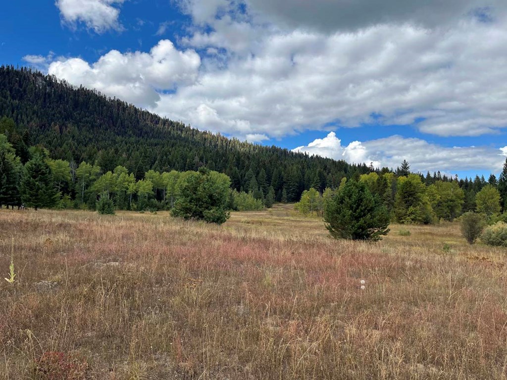 42 Reno Vista Lane, Unit 70 Donnelly, ID 83615 - Photo 2 of 16 Looking NW Into Tamarack Resort