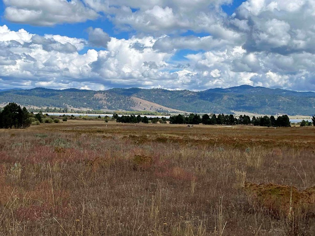 42 Reno Vista Lane, Unit 70 Donnelly, ID 83615 - Photo 3 of 16 Looking East
