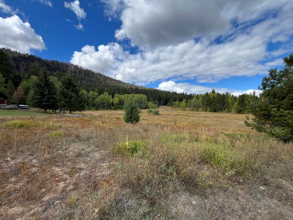 42 Reno Vista Lane, Unit 70 Donnelly, ID 83615 - Photo 10 of 16 Views to the Northwest