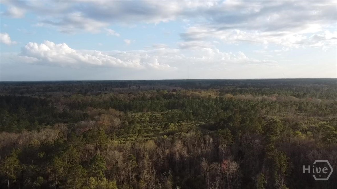 6703 Buchan Road Pembroke, GA 31321 - Photo 11 of 12