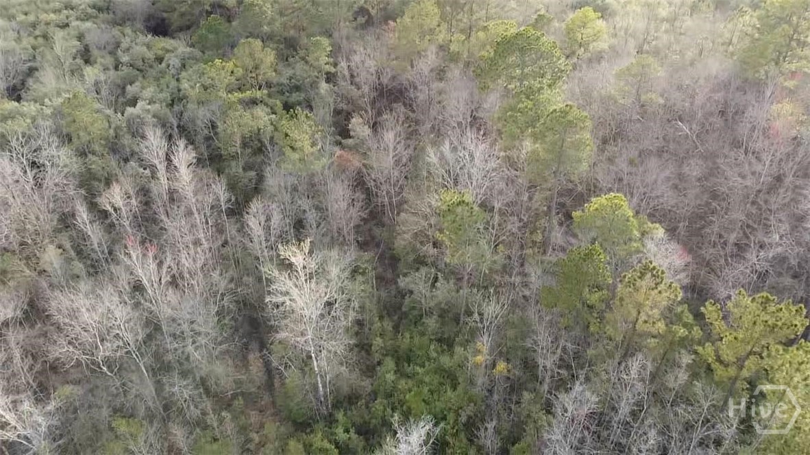 6703 Buchan Road Pembroke, GA 31321 - Photo 12 of 12