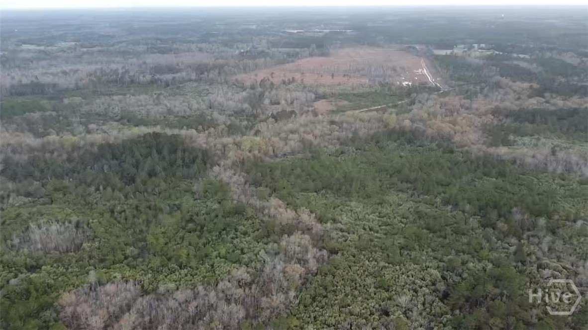 6703 Buchan Road Pembroke, GA 31321 - Photo 3 of 12