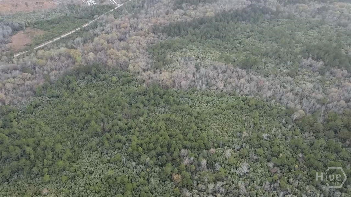 6703 Buchan Road Pembroke, GA 31321 - Photo 5 of 12