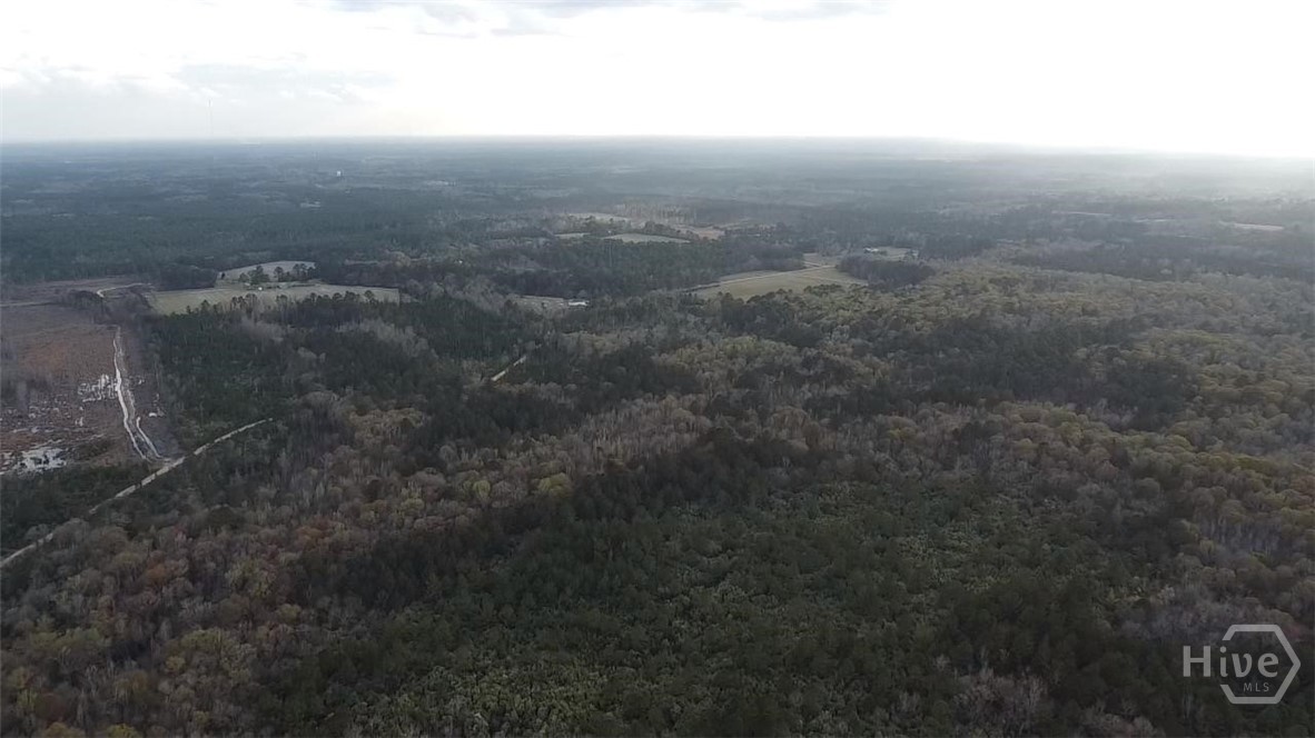 6703 Buchan Road Pembroke, GA 31321 - Photo 6 of 12