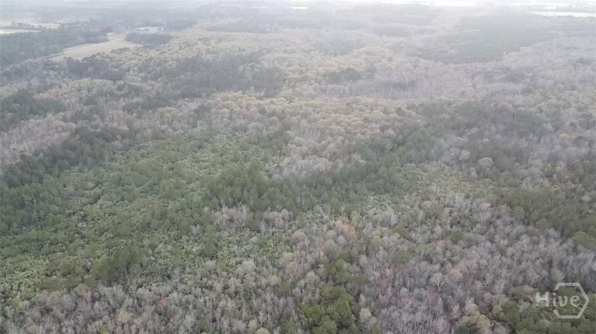 6703 Buchan Road Pembroke, GA 31321 - Photo 8 of 12