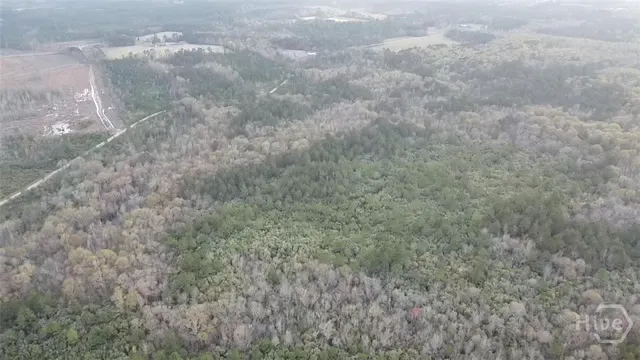 $2,380,000 | 6703 Buchan Road, Pembroke, GA 31321