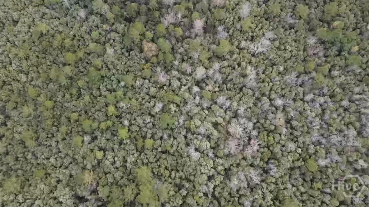 6703 Buchan Road Pembroke, GA 31321 - Photo 10 of 12