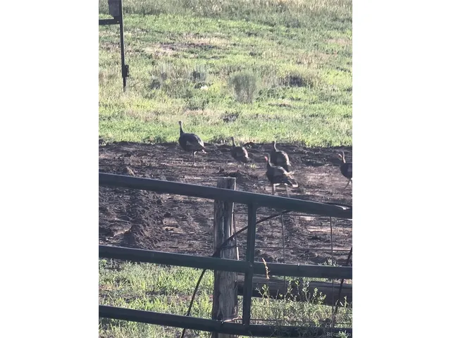 a upper view of a house