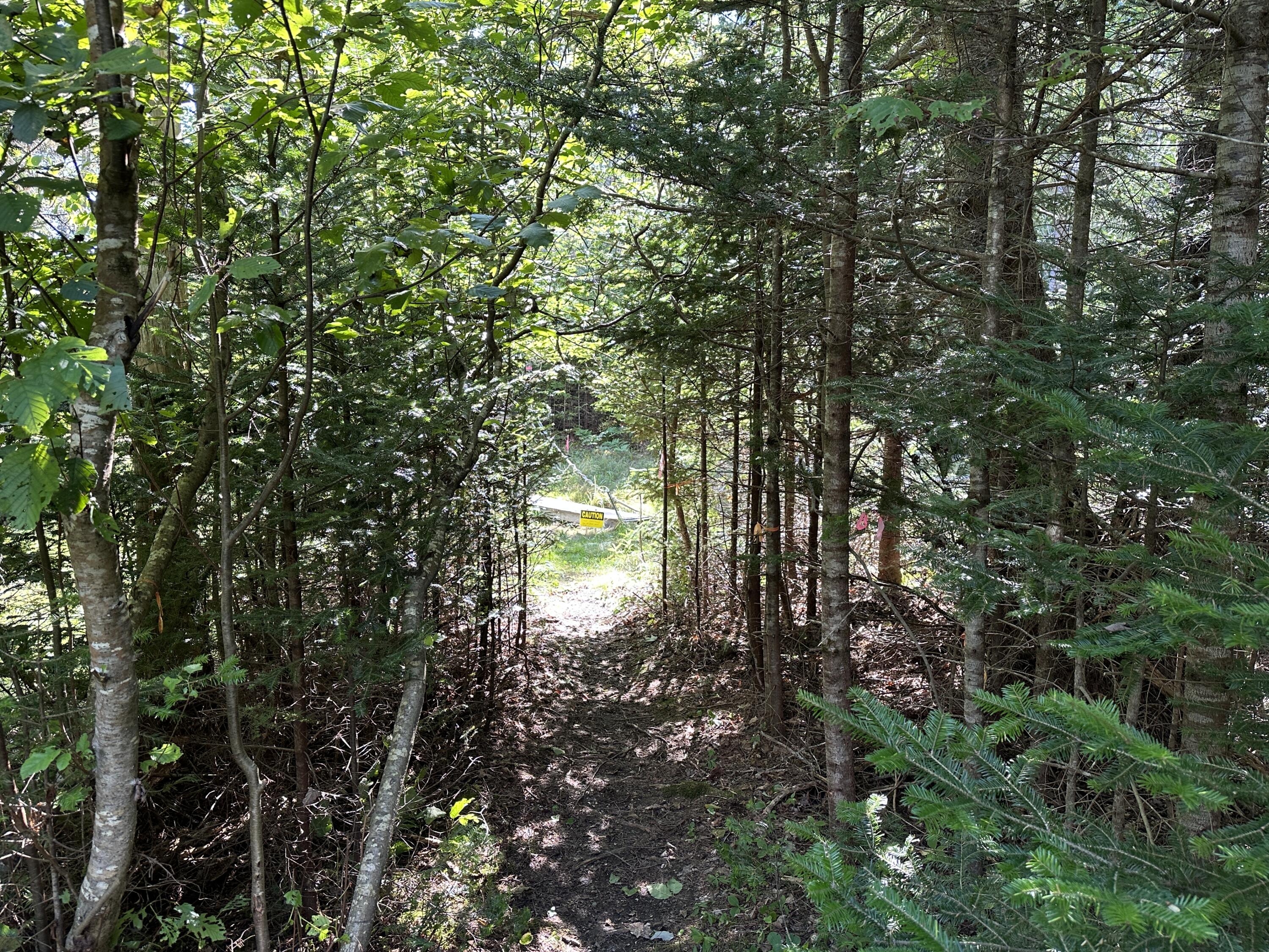 31 Fay Road Spruce Head, ME 04859 - Photo 13 of 77 Entry Path From Fay Rd