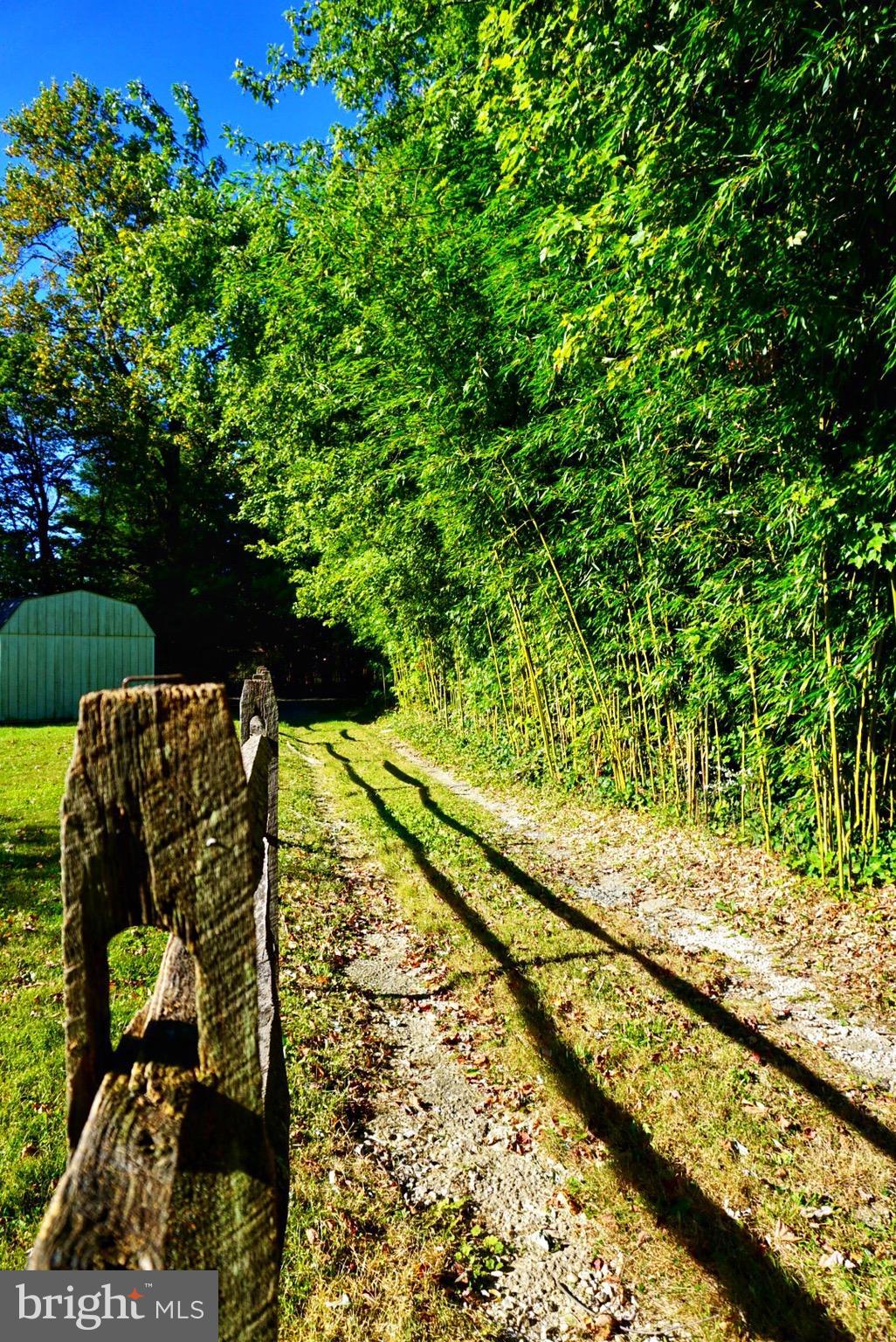 1812 Conowingo Road Forest Hill, MD 21050 - Photo 4 of 21 a view of a yard with a tree
