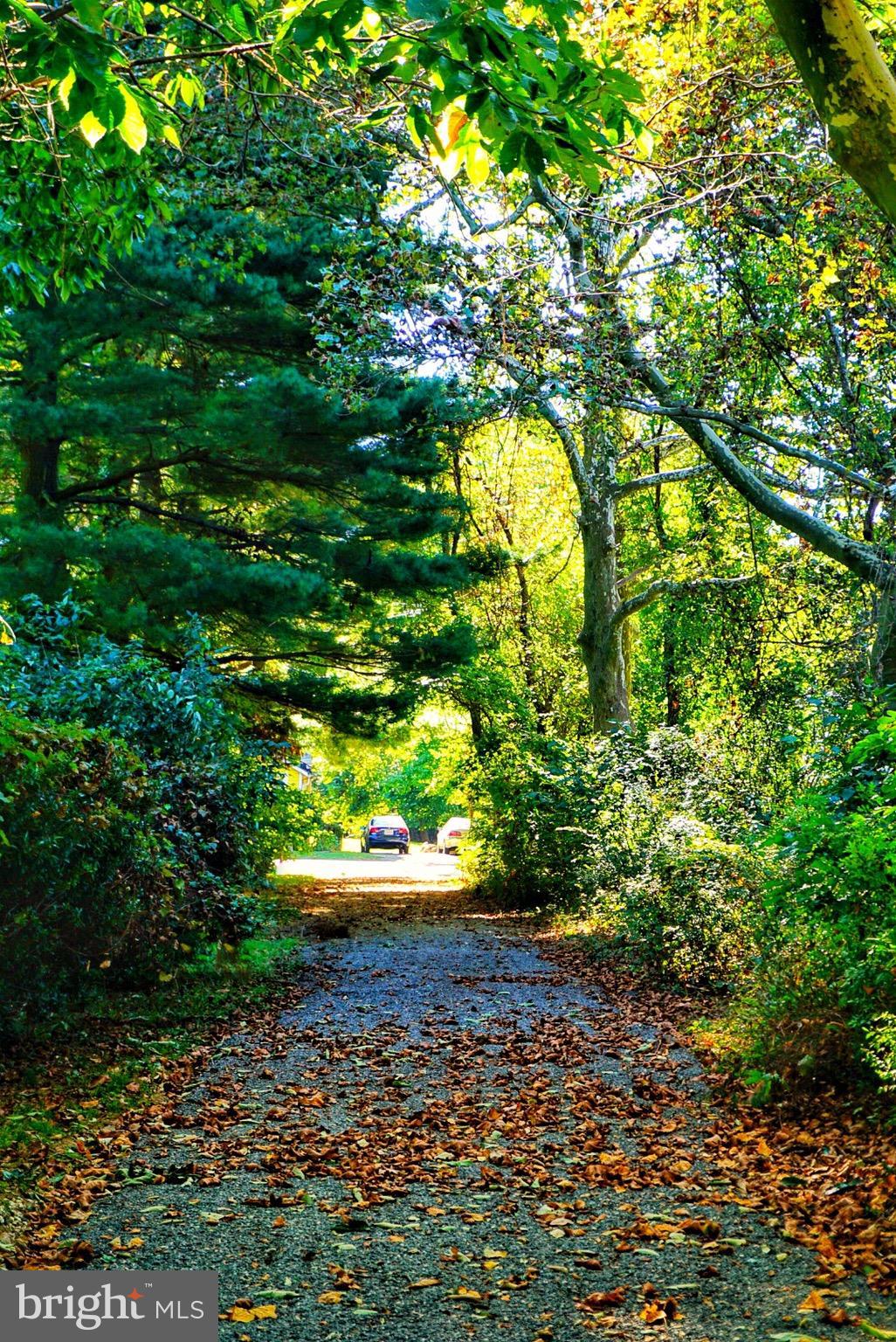 1812 Conowingo Road Forest Hill, MD 21050 - Photo 5 of 21 a view of a yard with plants and large trees