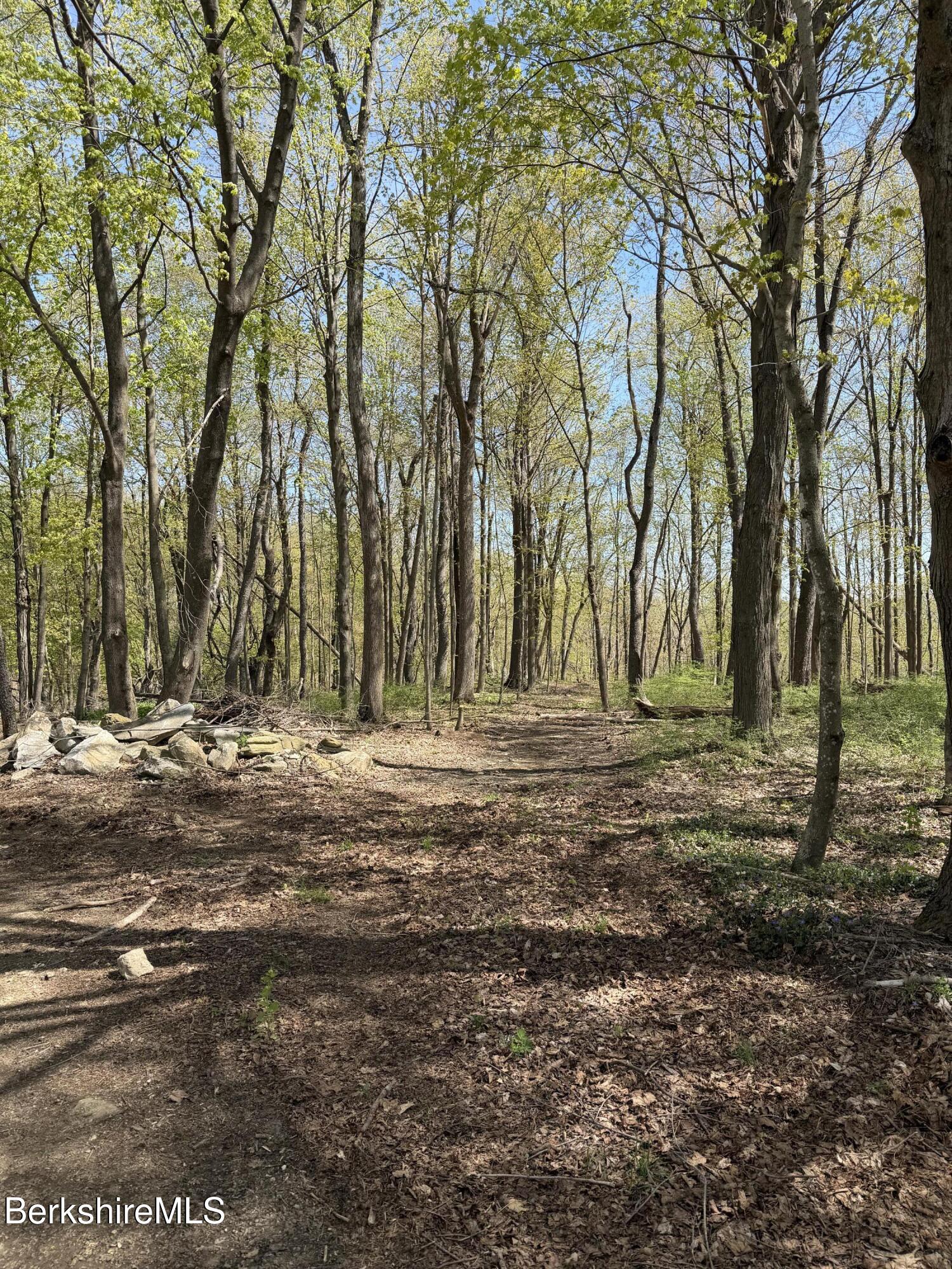 752 State Road Richmond, MA 01254 - Photo 63 of 71 wooded parcel
