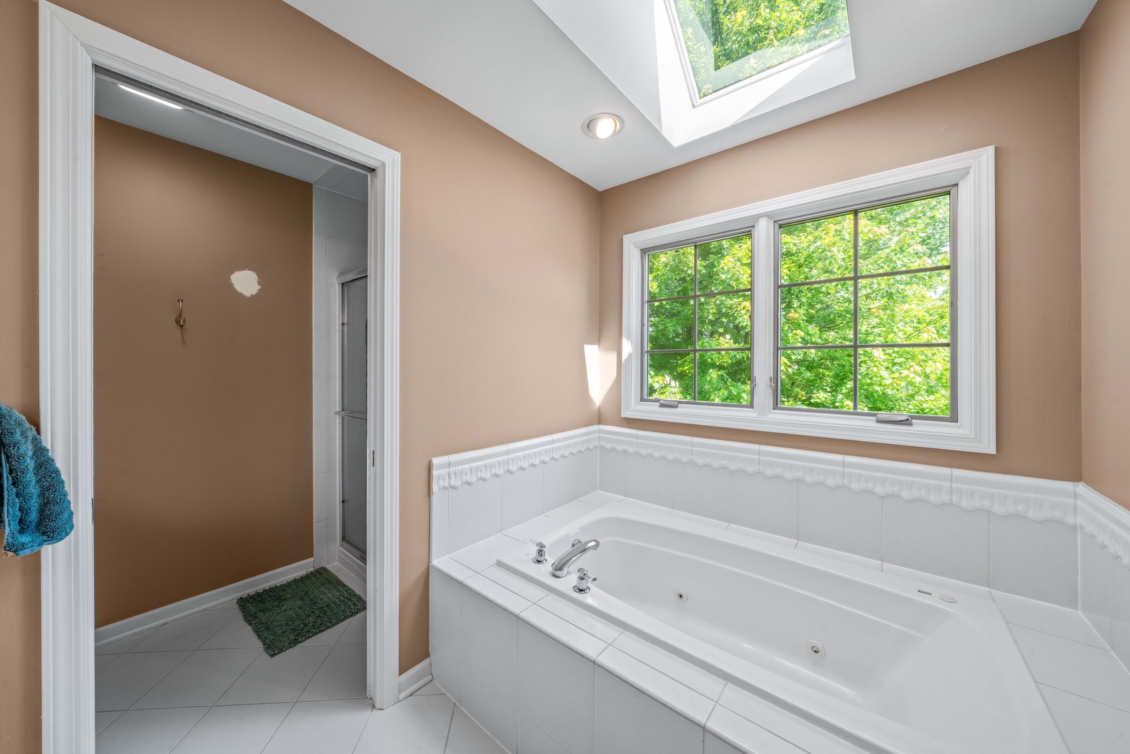 772 Wild Ginger Road Sugar Grove, IL 60554 - Photo 21 of 48