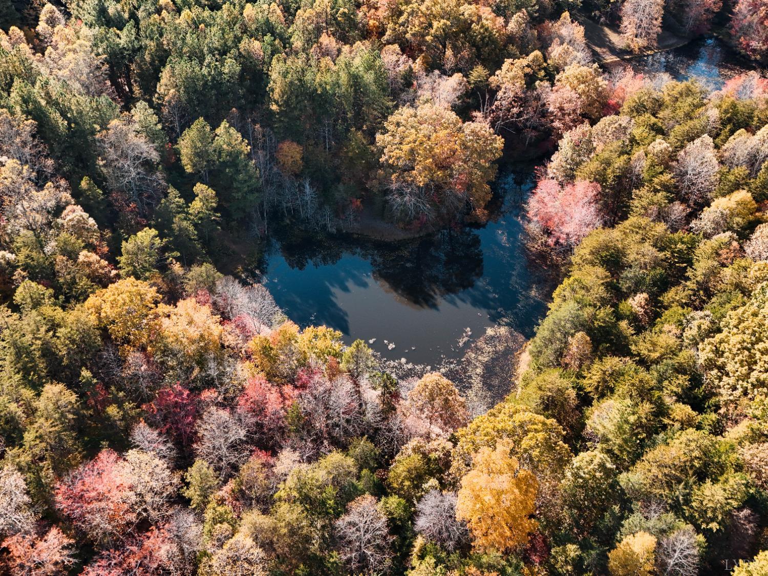 7941 Sugar Hill Road Brookneal, VA 24528 - Photo 47 of 76